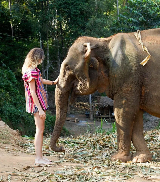 Ethical Elephant Sanctuary Experience | Chiang Mai Elephant Tour