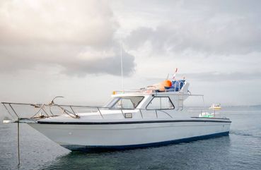 Private Boat to Nusa Penida with Snorkeling, Mantas & Land Tour