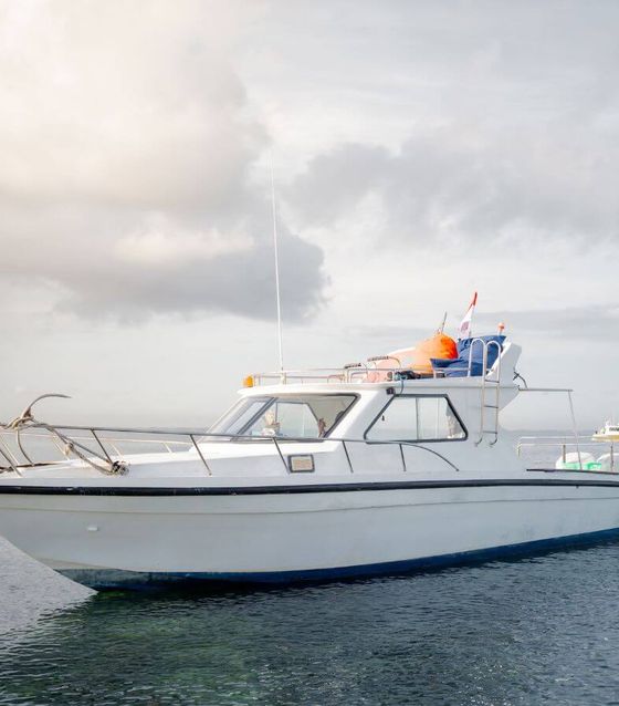 Private Boat to Nusa Penida with Snorkeling, Mantas & Land Tour