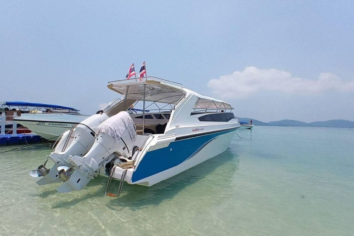 Pig Island Tour
