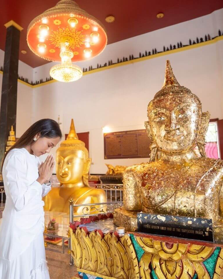 Phuket Giant Water Lilies And Temple Tour| Private Phuket Giant