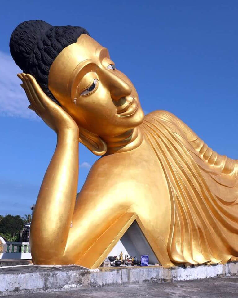 Phuket Giant Water Lilies And Temple Tour| Private Phuket Giant