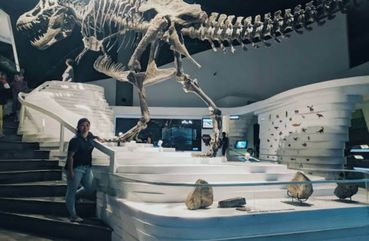 Trex
