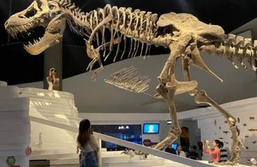 Museum