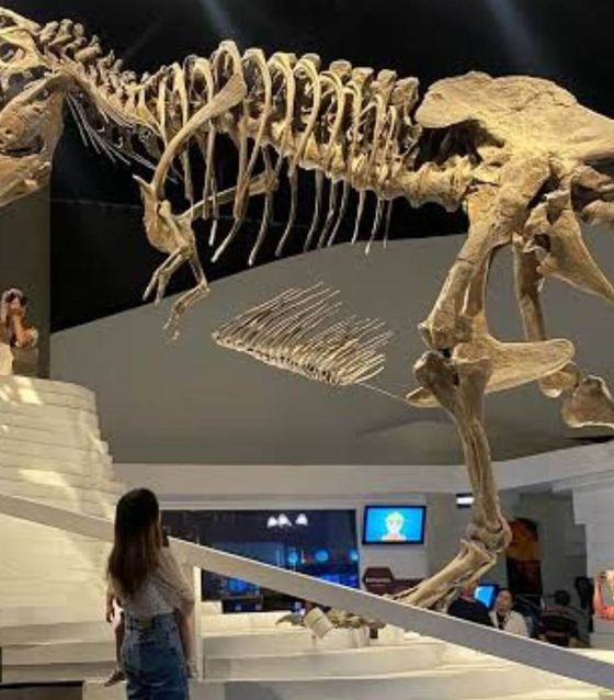 Museum
