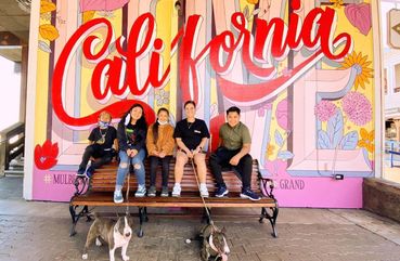 What to do at Pier 39 San Francisco