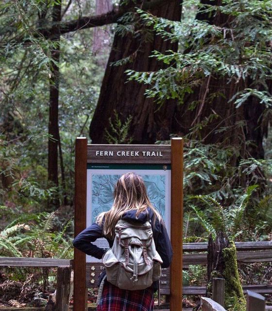 Muir Woods, Yosemite, California