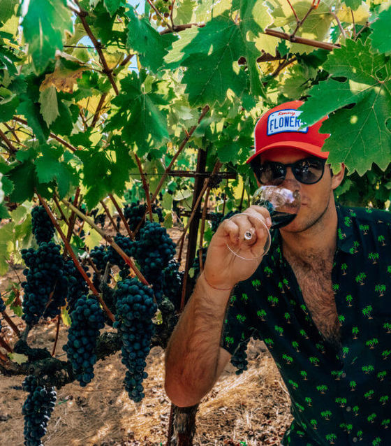 Best wineries in Napa Valley