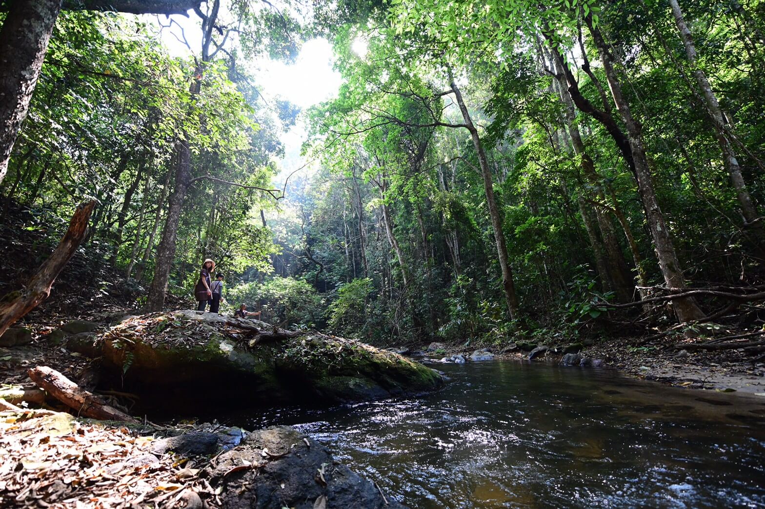 Doi Inthanon