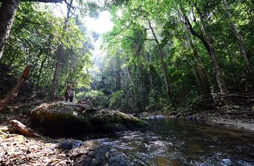 Chiang Mai Doi Inthanon & Pha Dok Siew Waterfall Tour