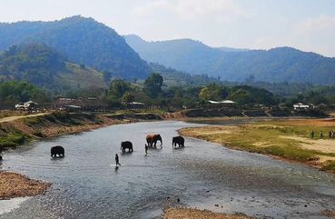 Chiang Mai White Water Rafting & ATV Adventure