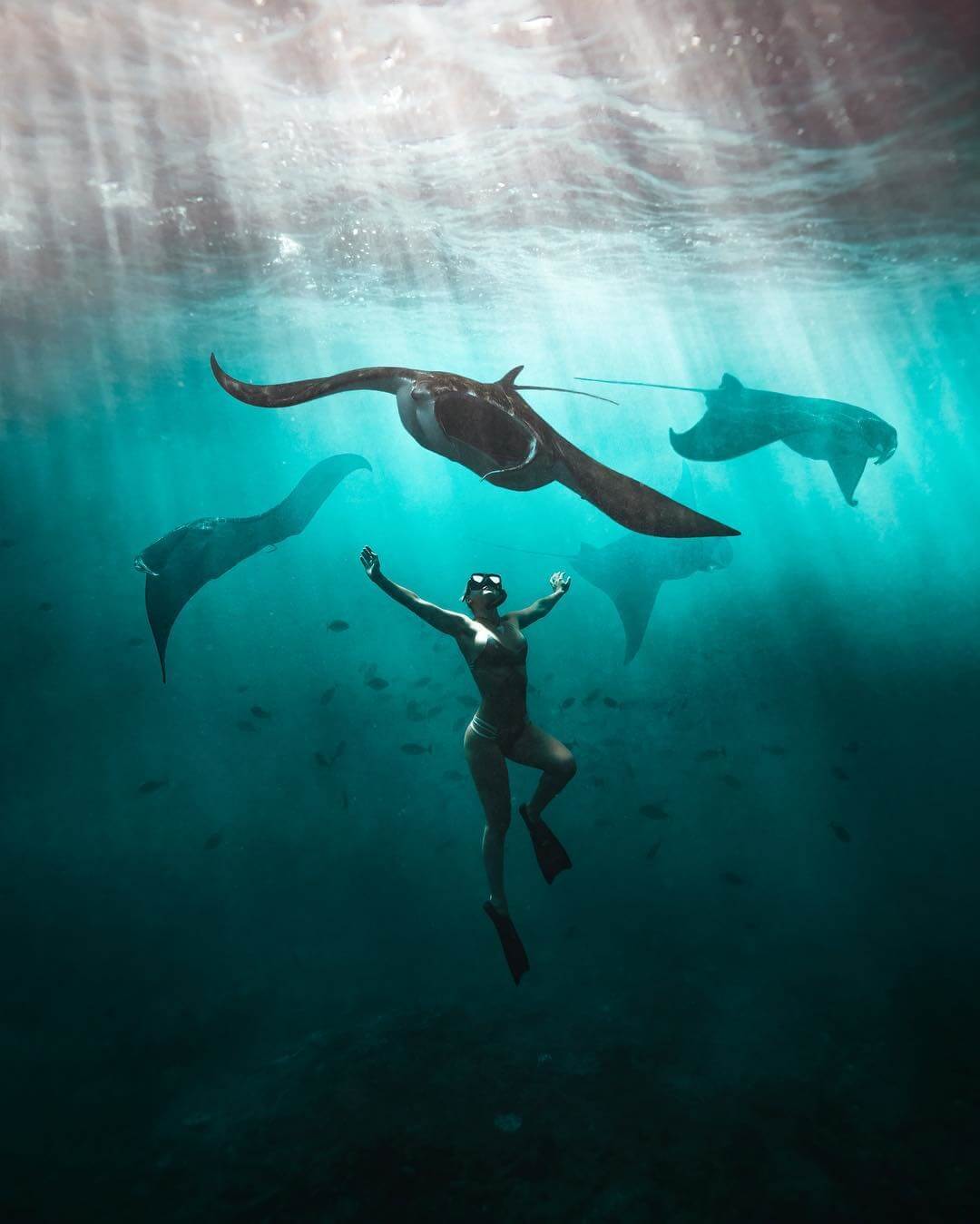 Manta Bay, Nusa Penida