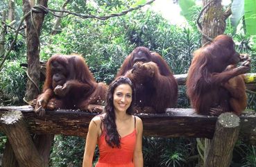 Bali Orangutans