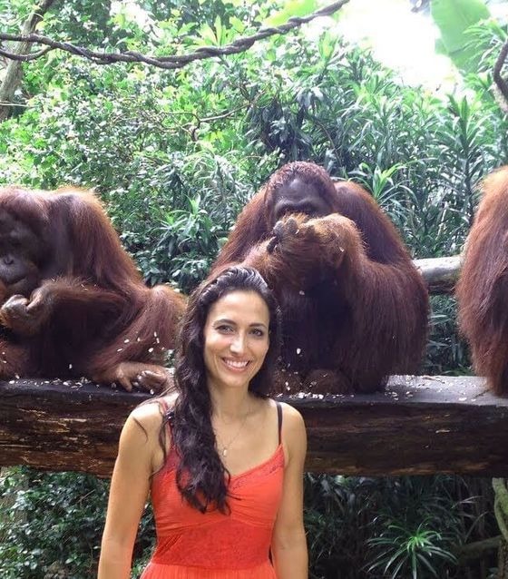Bali Orangutans