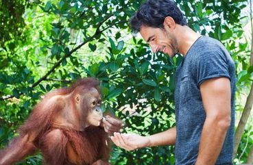 Bali Orangutans