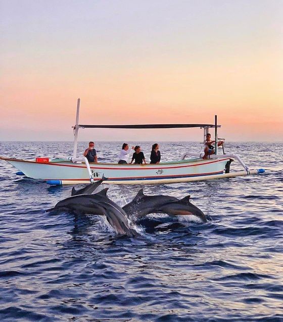 Lovina Dolphin Watching, Lovina, Bali