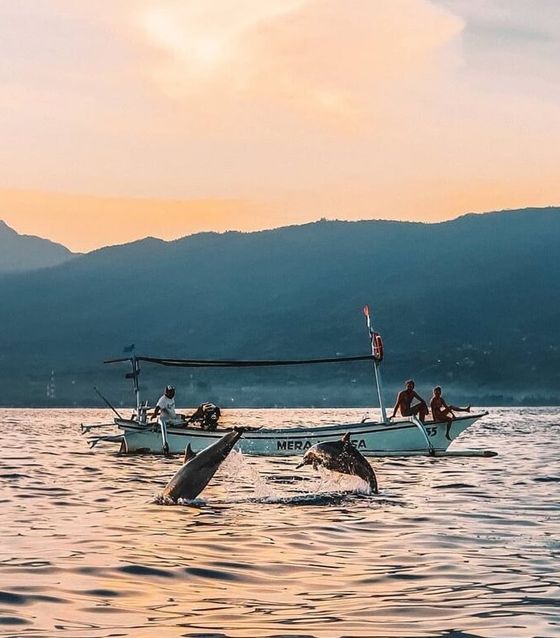 Lovina Dolphin Watching, Lovina, Bali