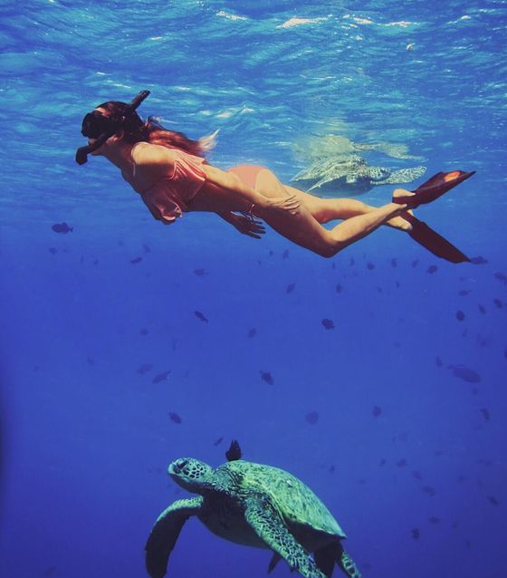 Snorkeling with turtles in Nusa Penida