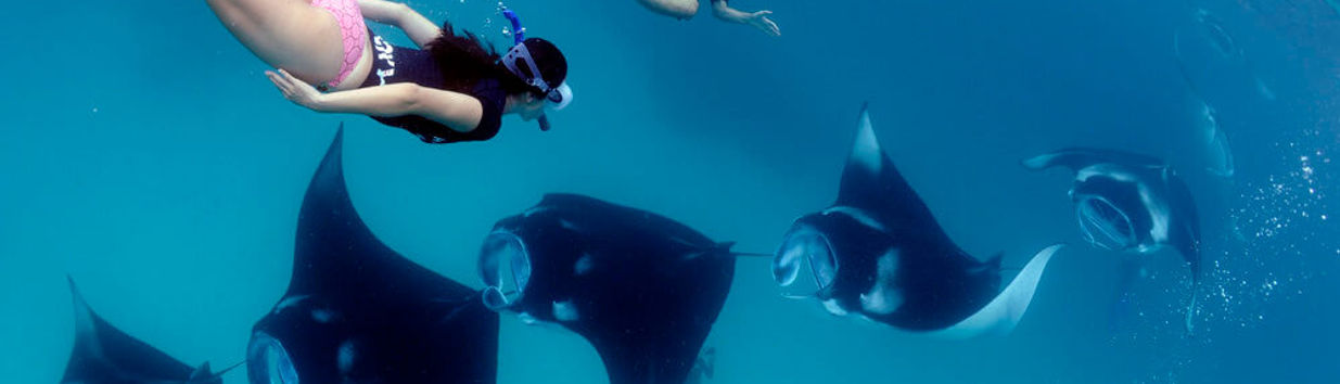 Manta Bay
