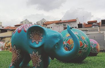 Singapore Little India Hidden Gems Walking Tour