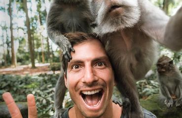 Monkey Forest Bali
