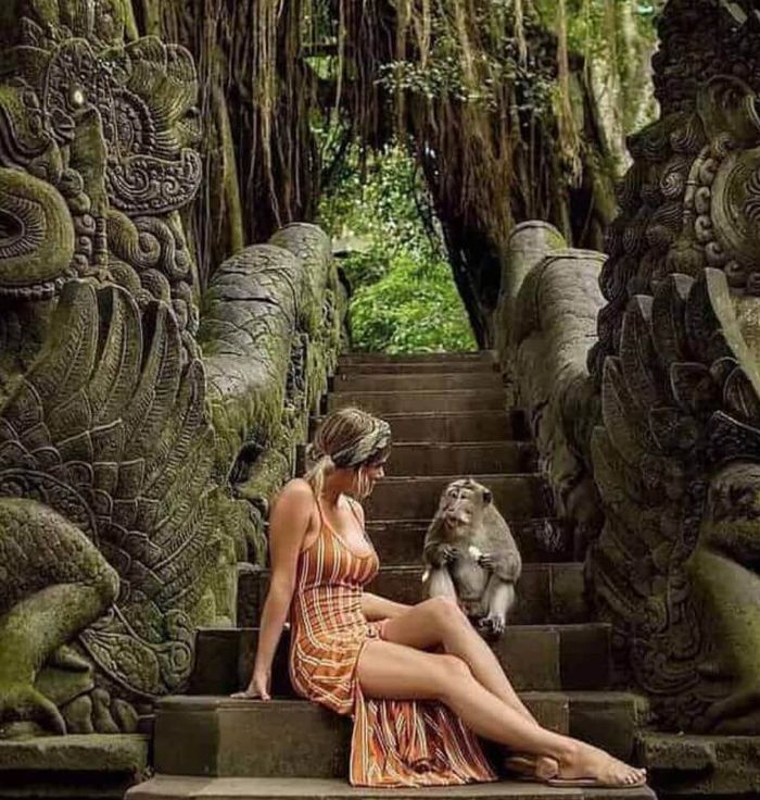 Monkey Forest