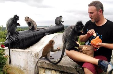 Kuala Lumpur Fairy Firefly And Monkey Hill Tour
