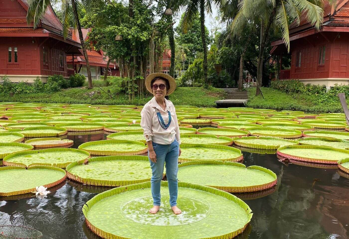 Phuket giant water lilies and temple tour private phuket giant lily