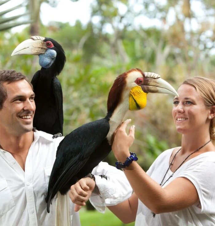 Bali Bird Park
