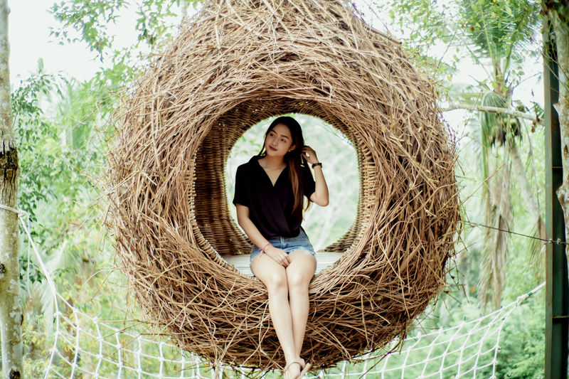 Birds nest in Ubud