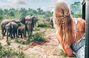 Majestic Mammals Of Sri Lanka: Whale & Elephant Safari Tour