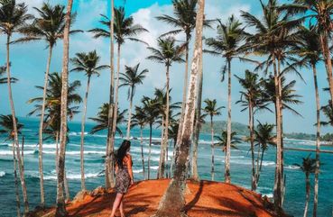 Majestic Mammals Of Sri Lanka: Whale & Elephant Safari Tour
