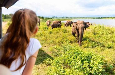 Sri Lanka Polonnaruwa Unesco Ancient City And Elephant Safari Adventure