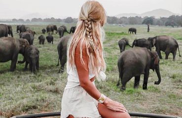 Sri Lanka Polonnaruwa Unesco Ancient City And Elephant Safari Adventure