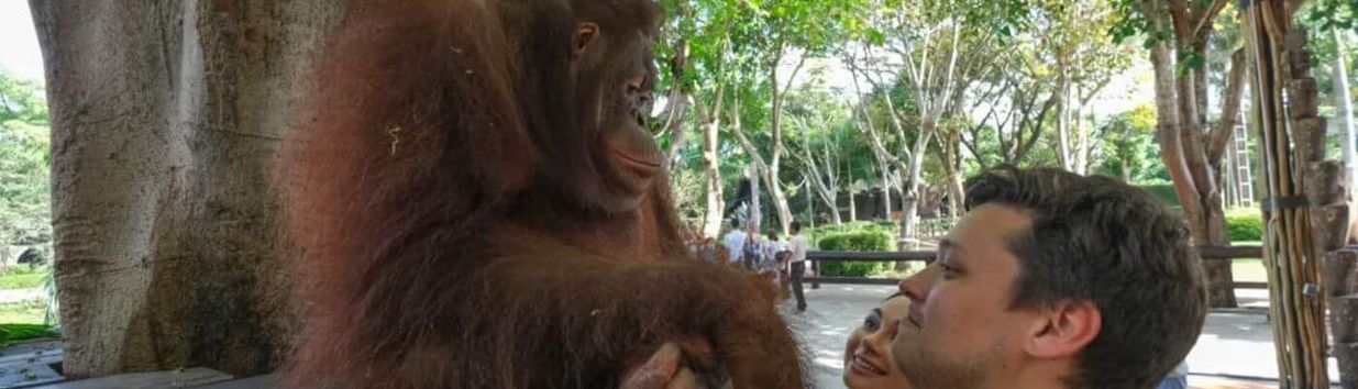 Bali Zoo