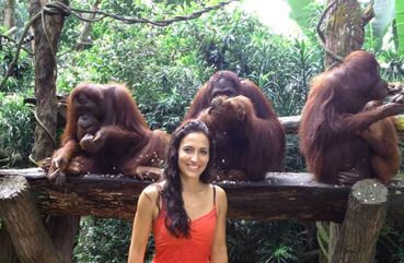 Bali Family Adventure: Breakfast With Orangutans And Rice Farming Experience