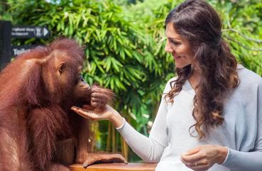 Bali Family Adventure: Breakfast With Orangutans And Rice Farming Experience