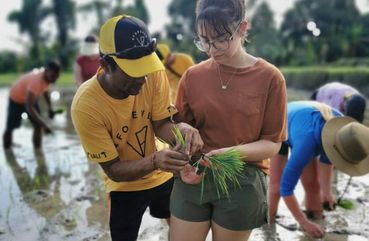 Bali Family Adventure: Breakfast With Orangutans And Rice Farming Experience