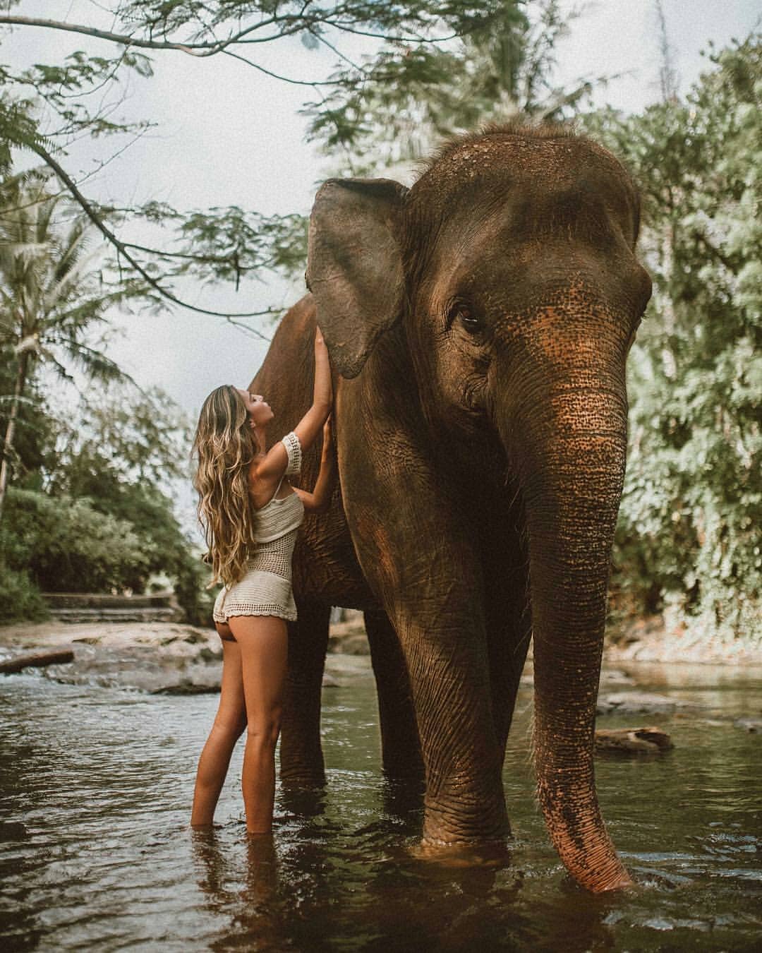 elephant bath in Bali