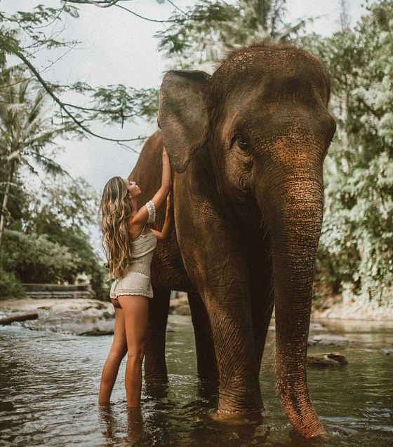 elephant bath in Bali