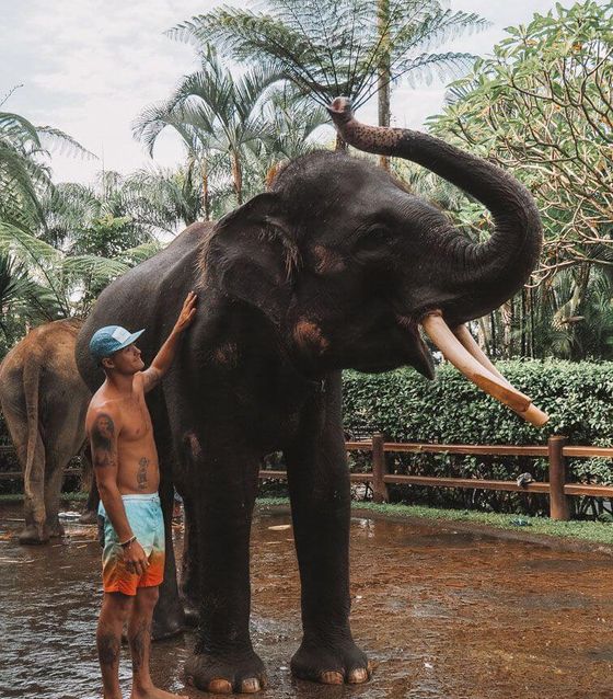 Washing Elephants in Bali