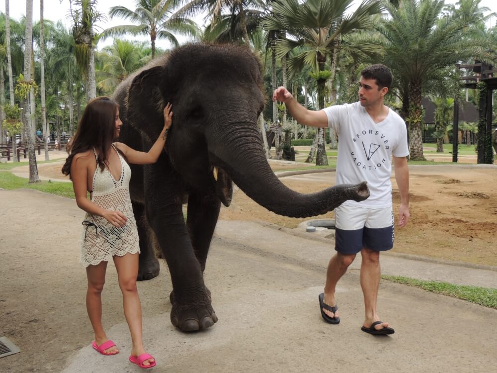 Walking with elephants in Bali