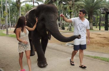 Walking with elephants in Bali