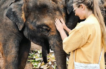 Elephant Sanctuary in Malaysia