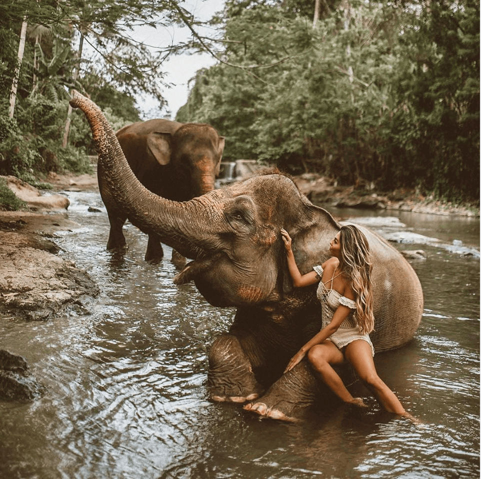 Elephant Sanctuary, Kuala Lumpur