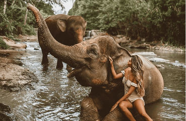 Kuala Lumpur Elephant Sanctuary and Batik Painting Tour