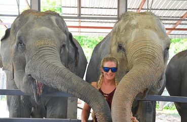Elephant Sanctuary in Malaysia
