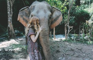 Elephant Sanctuary
