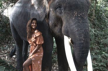 Kuala Lumpur Elephant Sanctuary and Batik Painting Tour