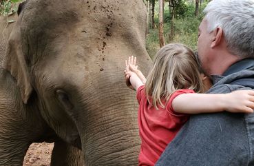 Elephants in KL